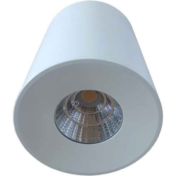 USD3018-BLK/WH-3CCT   IRIS 14W Surface Mounted LED Downlight